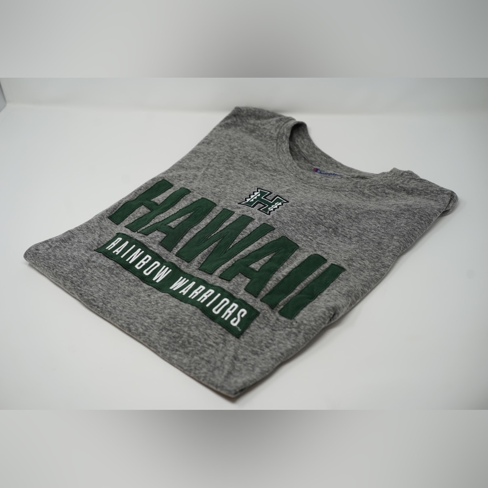 Champion University of Hawaii Rainbow Warriors embroidered heather grey size XL